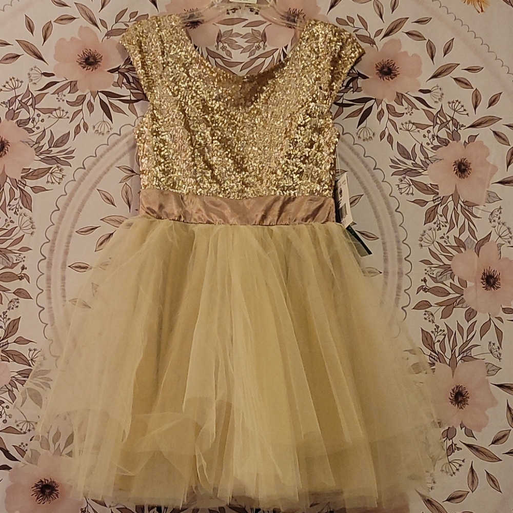 NWT Gold Sequin Tulle Dress - Picture 1 of 7